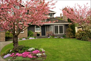 93c30094-0031-418d-a073-d1395eafc2e9