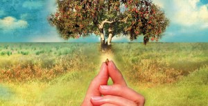 go-forward-with-faith-seed-to-tree-580